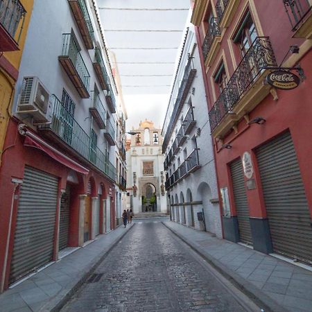 Casa Hernando Colon 塞维利亚 外观 照片